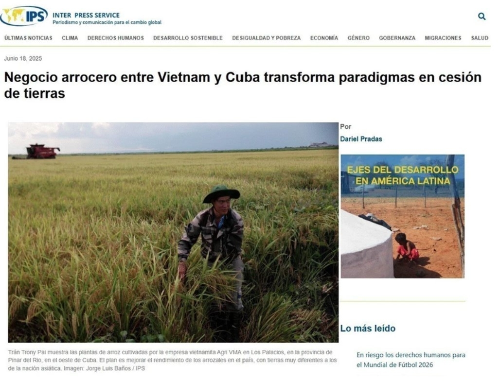 Vietnam–Cuba rice partnership sets new model for sustainable food security